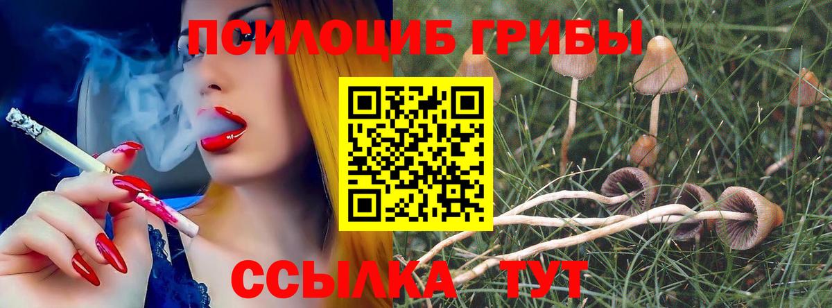 Галлюциногенные грибы MAGIC MUSHROOMS Самара