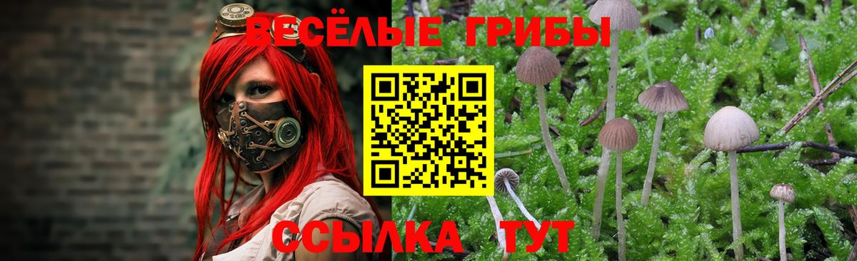 Самара  Псилоцибиновые грибы ЛСД  Вход с VPN 